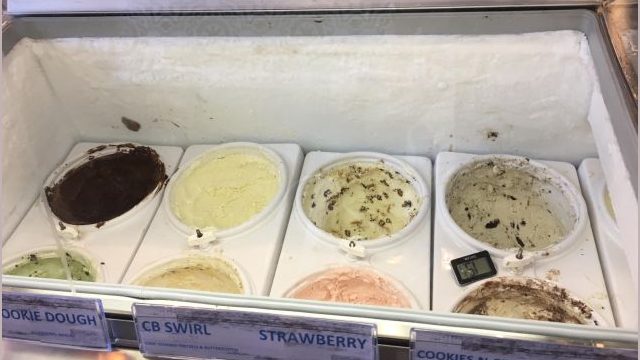 The assortment of ice cream flavors