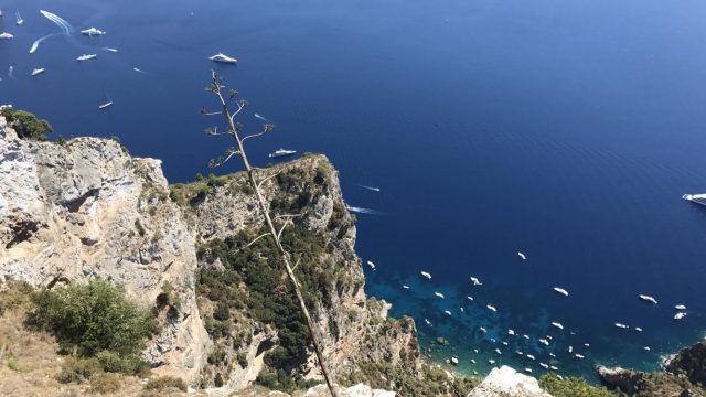 View from the cable car going to the highest point of Capri